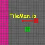 Play TileMan.io online